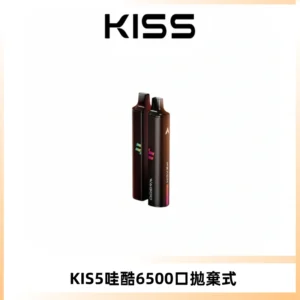 KIS5WAGOO哇酷6500口拋棄式 | 自由混搭雙口味 | 雙芯組合