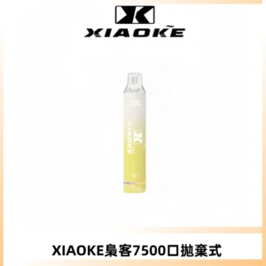 XIAOKE梟客7500Puffs跑馬燈拋棄式電子煙 可發光一次性